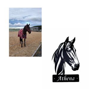 Wunschkonterfei Foto Pferd